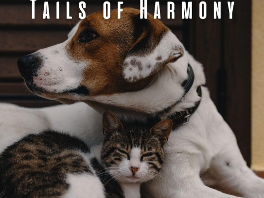  Cherishing Memories: The Ultimate Guide to Memorial Rocks for Pets