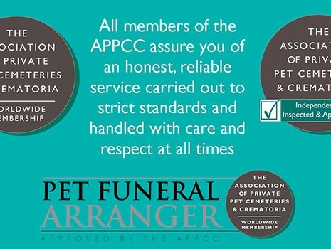  Understanding the Importance of Pet Cemeteries: A Guide for Pet Owners