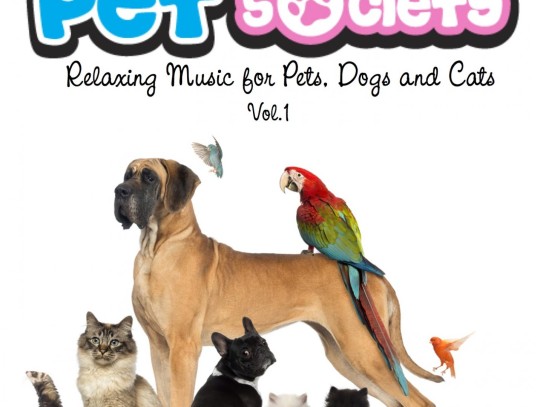  Discover the Best Pet Store in Bonita Springs: Your One-Stop Shop for Happy Pets**