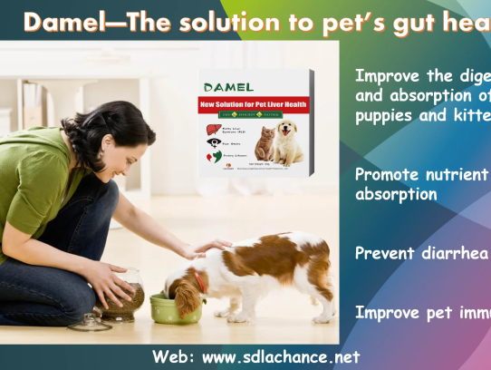  Discover the Ultimate Pet Nu Solutions for Happy and Healthy Pets