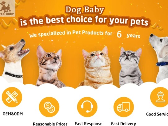  Discover the Best Pet Supplies Plus Willowick OH: Your One-Stop Shop for Happy Pets