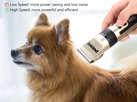  The Ultimate Guide to the Best Rated Cordless Vacuum for Pet Hair: Top Picks and Tips for Pet Owners